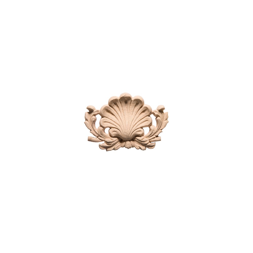 Shell frieze in wood pulp size cm. 12X8x1,5