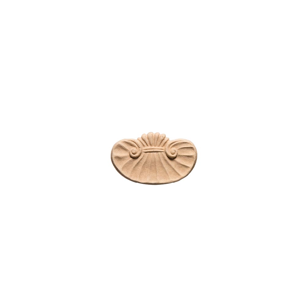 Shell frieze in wood pulp size cm. 10X6x1